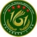 武汉161医